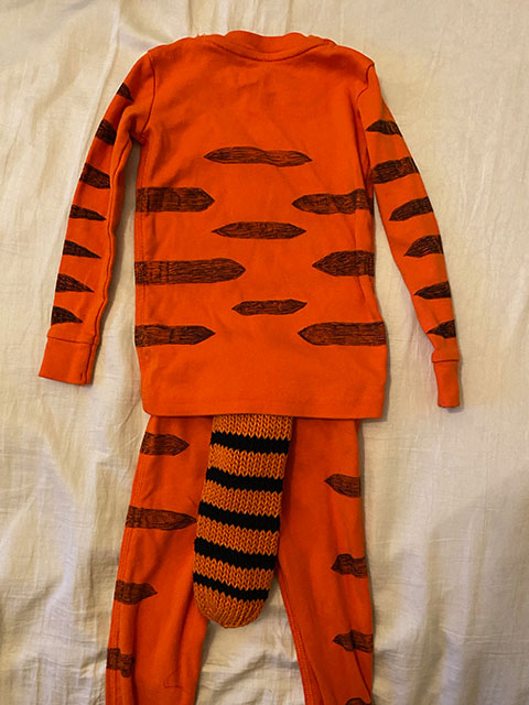 DIY Tiger Costume Backview