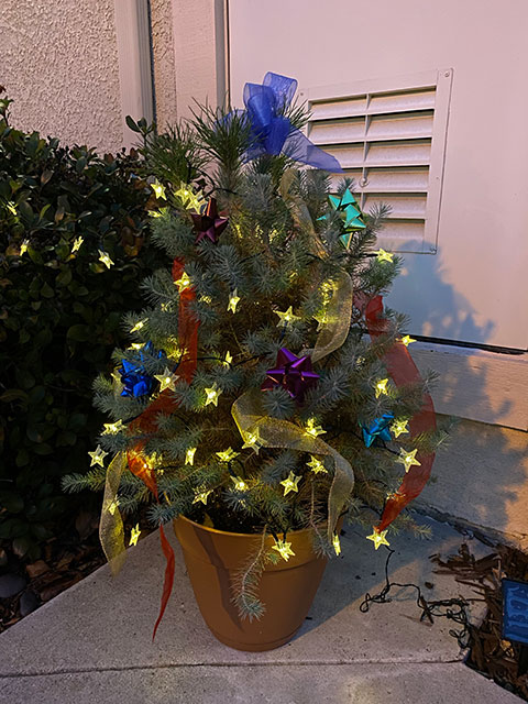 Xmas Tree 2020